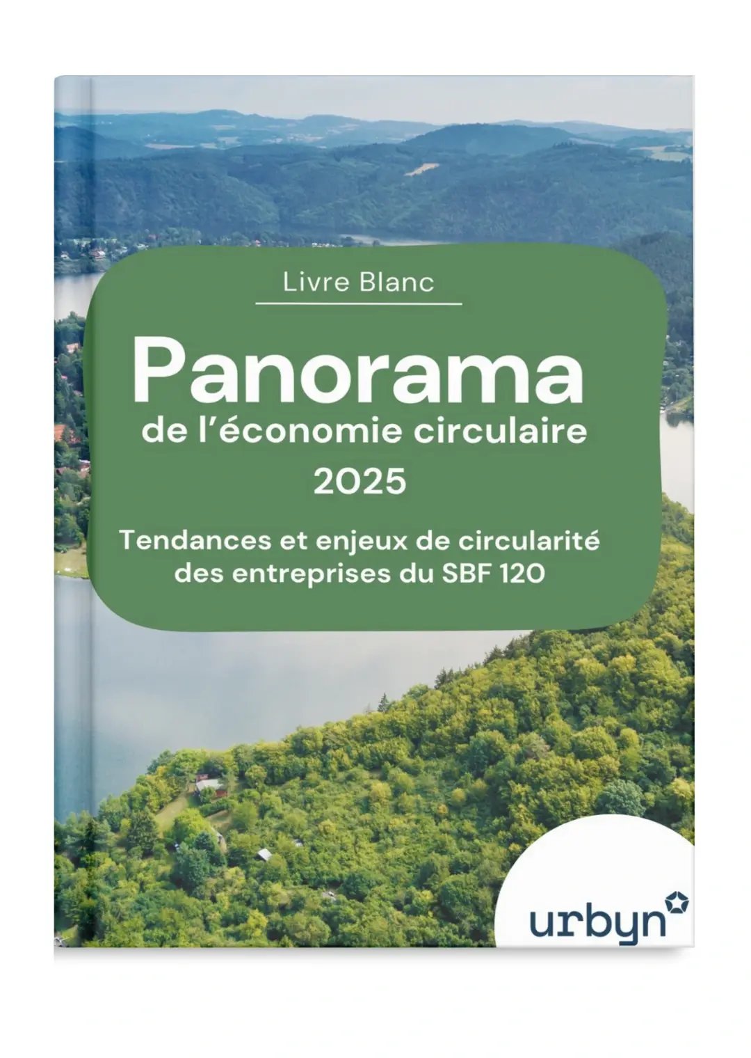 Livre blanc 2025s